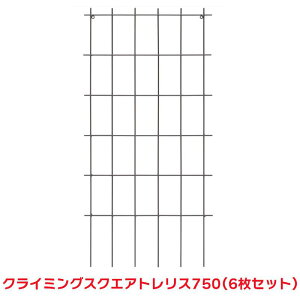 タカショー 『6枚セット価格』 SG-ST75 クライミングスクエアトレリス 750 トレリス 誘引 つる バラ