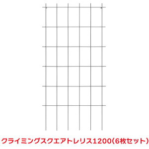 ^JV[ w6Zbgix SG-ST120 NC~OXNGAgX 1200 gX U  o