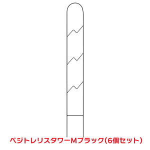 ^JV[ w6Zbgix VGT-TT01MBK xWgX^[ M ubN A[` gX