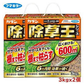 フマキラー 除草王オールキラー粒剤3kgx2個セット 園芸用品 除草剤 雑草 予防 駐車場 空き地 墓地