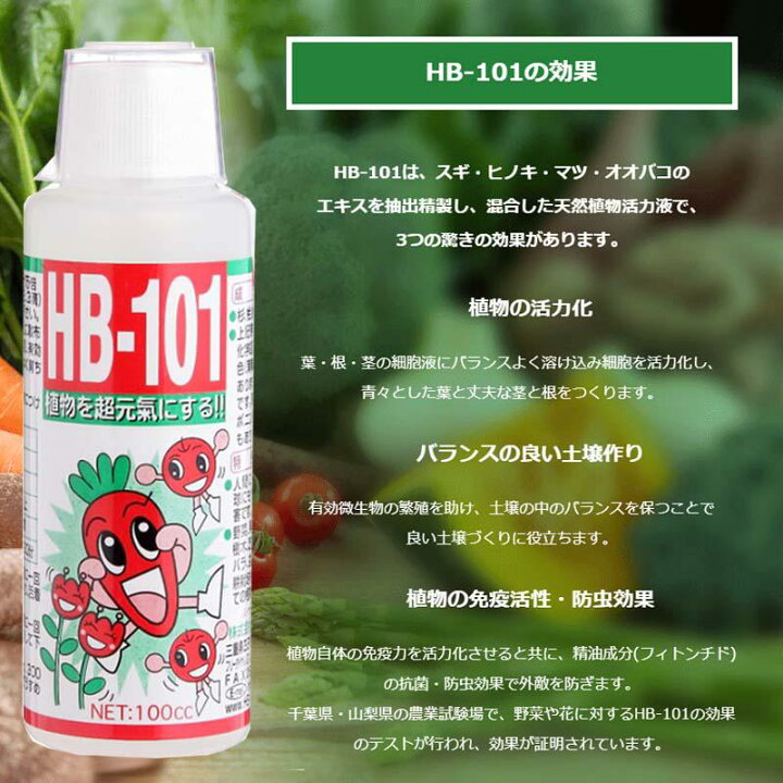 楽天市場】フローラ HB101 100cc×2本 天然植物活性剤 HB-101 2L 園芸