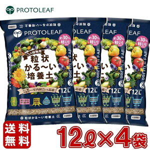 y[݌ɕizI vg[t 󂩂`|{y 12L×4܃Zbg sgp   y ʋC r ɂ Jrɂ 12L