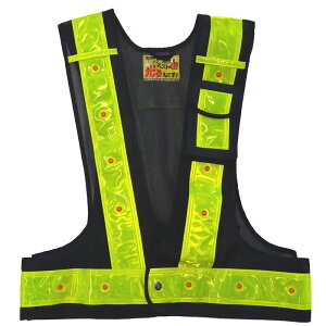 ~YPC (10Zbg) 𗧁`c @\xXgwłxIUt q^rLED 3013000