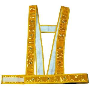 ~YPC (10Zbg) 𗧁`c LED^XL^SxXgwłx qS[h^LEDr 3020002