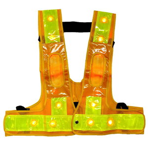 ~YPC (10Zbg) 𗧁`c tn[lXpLEDSxXg^LED włłx^ TCY:LOTCY 5941163