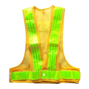 ~YPC (20Zbg) 𗧁`c LEDSxXguLsJsparkv qnErԔLED 5916522