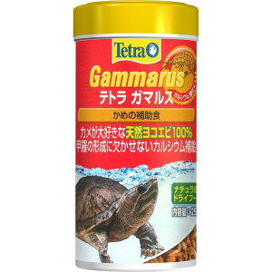 eg(Tetra) T197 K}X 25g XyNguY