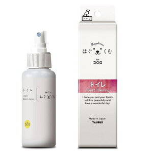 g[X  pi  ͂ gC 100ml