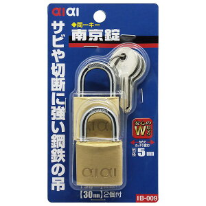 同一キー 南京錠 ダブルロック 30mm 2個入り WAKI(和気産業) (IB-009)