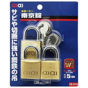 L[ 싞 _ubN 30mm 3 WAKI(aCY) (IB-010)