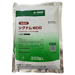 BASF VOiWDG 333g Eۍ K[fjO Z \h _  