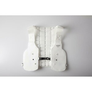 YAsGOD ACX} PCMxXg2 zCg ICM-PV2-WH