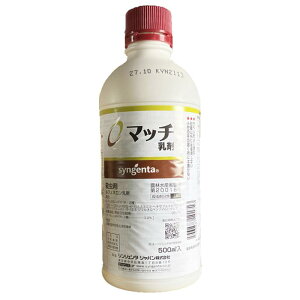 VWF^Wp }b` 500mL E K[fjO |p Q쏜 _