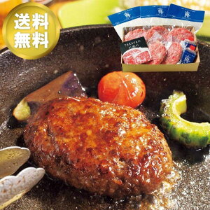 ΕMtg uTORAYAv{苍100%s˃no[O Hiino[Oj O X