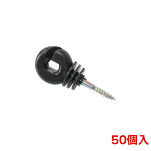 A| ؂˂KCV AP-PG3C 50dC QbQ hb p[c i CmVV Zbg