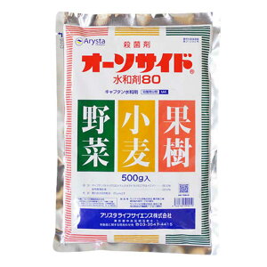 AX^ I[\[TCha 80 500g Eۍ