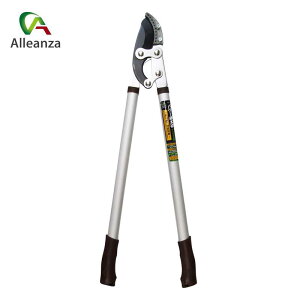 Ar^p[ɑ AGK6 K[fjO | ͂ nT~ }؂͂  AU o[IWi