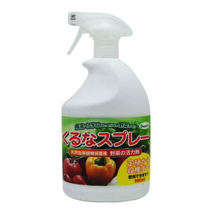 ؂͍̊ ȃXv[ 900ml pltH