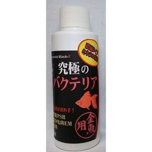 ɃV[Y ɂ̃oNeAp120ml B-blast