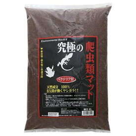 究極シリーズ 究極の爬虫類マット細目4L B-blast
