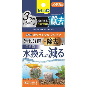XyNg eg TCNubN _Jp