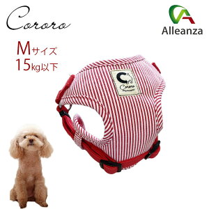 p n[lX  MTCY ^ JmY R\teBn[lXfUC bh  XgCv AU o[IWi