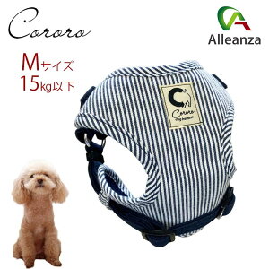 p n[lX  MTCY ^ JmY R\teBn[lXfUC u[ XgCv AU o[IWi