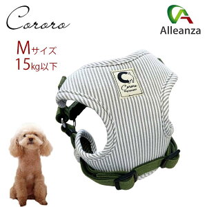 p n[lX  MTCY ^ JmY R\teBn[lXfUC O[ XgCv AU o[IWi