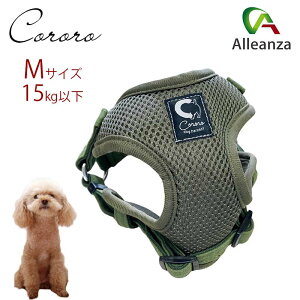 p n[lX  MTCY ^ JmY R\teBn[lXbV O[ bV AU o[IWi