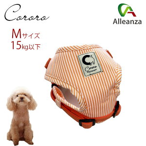 p n[lX  MTCY ^ JmY R\teBn[lXfUC IW XgCv AU o[IWi