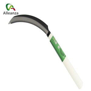  69550 |  J} K[fjO ƒ؉  AU o[IWi |  K[f 