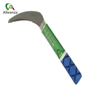 XeX 69567 |  J} K[fjO ƒ؉  AU o[IWi