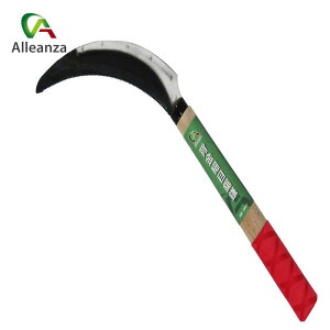 wt ז 69561 |  J} K[fjO ƒ؉  AU o[IWi