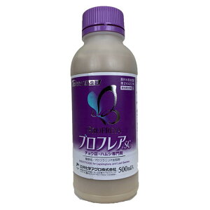O䉻wNbvCt\[V utASC 500mL E K[fjO  `E  