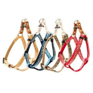 LEADOG  J^n[lX SS I[u [hbO