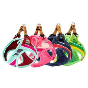 LEADOG pXe{[_[ \tgn[lX SS sN [hbO