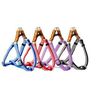 LEADOG v`MK J^n[lXSS BK ubN  [hbO