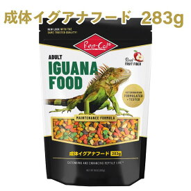 【即納在庫品】 ビバリア レップカル 成体イグアナフード 283g RO-404 イグアナ エサ 完全栄養食