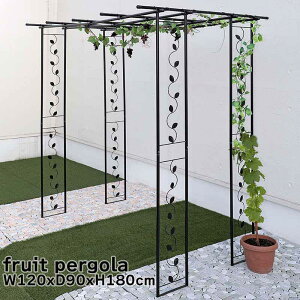 Living out t[cp[S TAN-3029-S K[f I ԂǂI ʎI o S