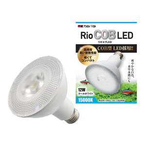 J~n^ IRu LED N[zCg 12W _{pi