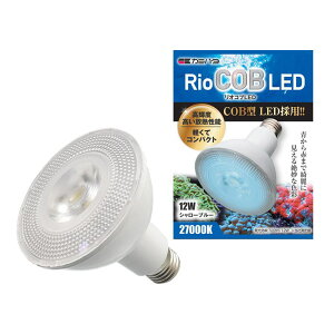 J~n^ IRu LED V[u[ 12W _{pi