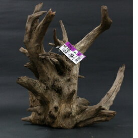 楽天市場 流木 ブラックホーンの通販