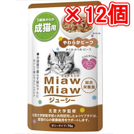 アイシア MiawMiawジューシーやわらかビーフ（×12個セット販売） 70g まとめ売り 猫フード 猫ウェットフード パウチ