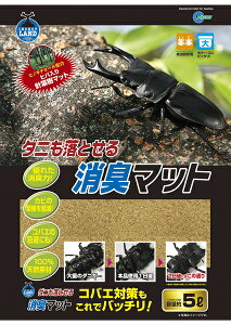 昆虫 マット ダニの人気商品 通販 価格比較 価格 Com 昆虫 マット ダニの人気商品 通販 価格比較 価格 Com