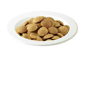 }[XWp ACX AHƂ̌Nێ`L1.5kg