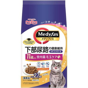 ybgC L hC MFD-55fBt@XLыʃPAvX11΂`L&tBbV 2.7kg