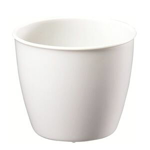 }g vg|bg 2D5 0D16L zCg