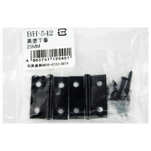 h 25mm 2 WAKI(aCY) (BH-542)