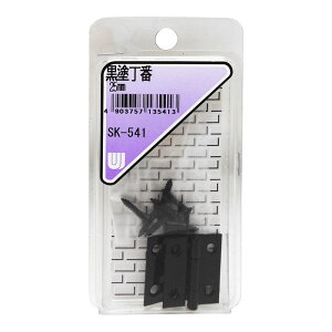 h 25mm 2 WAKI(aCY) (SK-541)