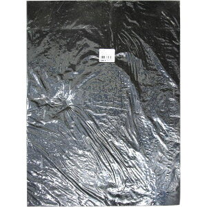 GvgV[[ 10×295×395mm WAKI(aCY) (EE-1010)